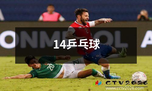 14乒乓球