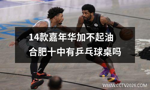 14款嘉年华加不起油 合肥十中有乒乓球桌吗