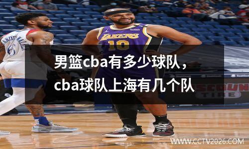男篮cba有多少球队，cba球队上海有几个队
