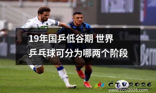 19年国乒低谷期 世界乒乓球可分为哪两个阶段