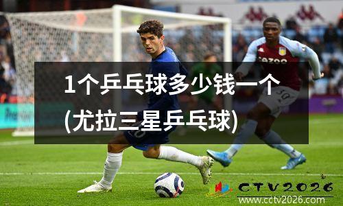 1个乒乓球多少钱一个(尤拉三星乒乓球)