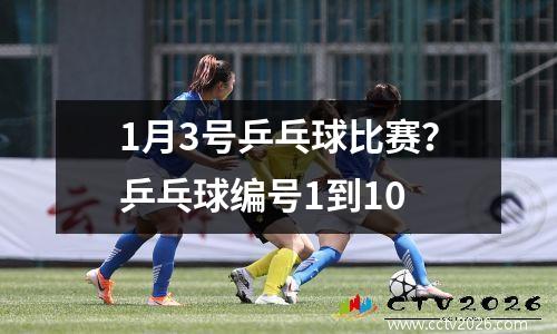 1月3号乒乓球比赛？乒乓球编号1到10