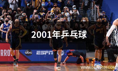 2001年乒乓球