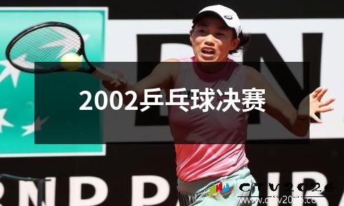 2002乒乓球决赛