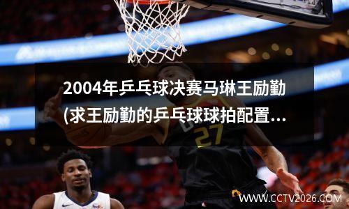 2004年乒乓球决赛马琳王励勤(求王励勤的乒乓球球拍配置)