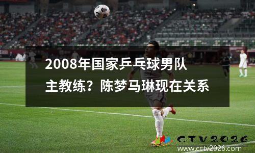 2008年国家乒乓球男队主教练？陈梦马琳现在关系