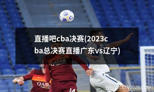 2008年奥运会乒乓球男单决赛 2008北京奥运会男子乒乓球冠军