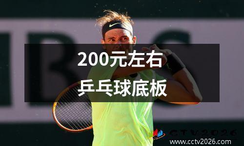 200元左右乒乓球底板