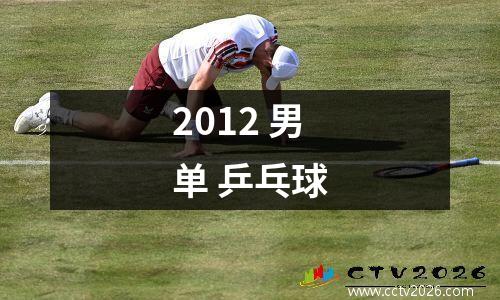 2012 男单 乒乓球