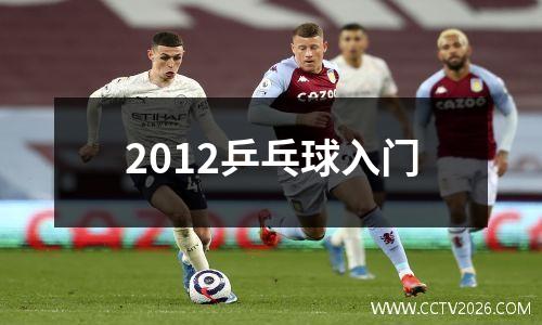 2012乒乓球入门