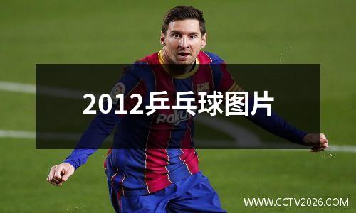 2012乒乓球图片