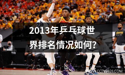 2013年乒乓球世界排名情况如何？