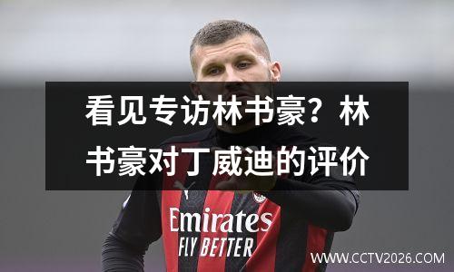 看见专访林书豪？林书豪对丁威迪的评价
