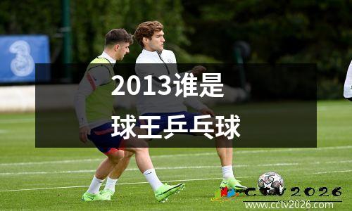 2013谁是球王乒乓球