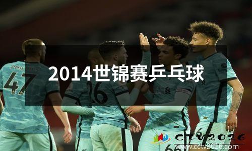 2014世锦赛乒乓球