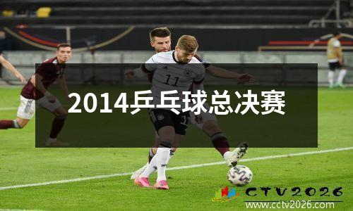2014乒乓球总决赛