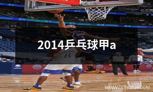 2014乒乓球甲a