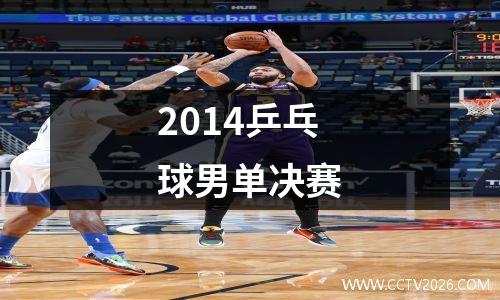 2014乒乓球男单决赛