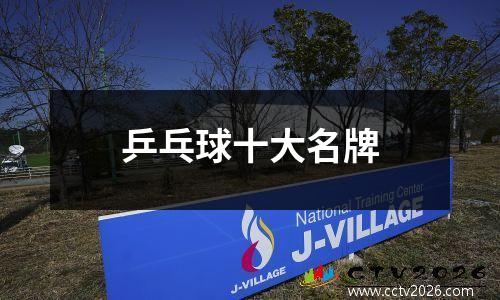 乒乓球十大名牌