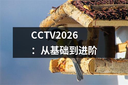 CCTV2026：从基础到进阶
