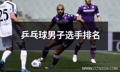乒乓球男子选手排名