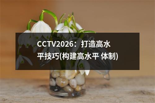 CCTV2026：打造高水平技巧(构建高水平 体制)
