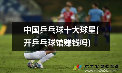 中国乒乓球十大球星(开乒乓球馆赚钱吗)