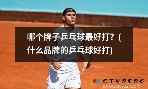 哪个牌子乒乓球最好打？(什么品牌的乒乓球好打)
