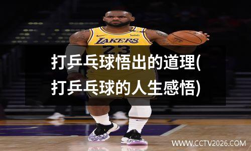 打乒乓球悟出的道理(打乒乓球的人生感悟)