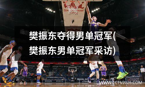 樊振东夺得男单冠军(樊振东男单冠军采访)