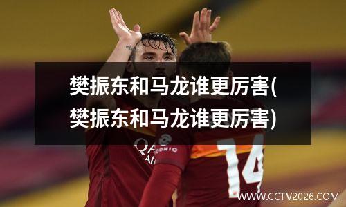 樊振东和马龙谁更厉害(樊振东和马龙谁更厉害)