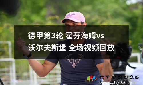 德甲第3轮 霍芬海姆vs沃尔夫斯堡 全场视频回放