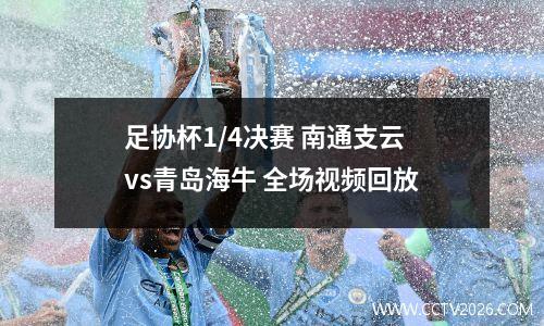 足协杯1/4决赛 南通支云vs青岛海牛 全场视频回放