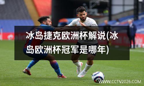 冰岛捷克欧洲杯解说(冰岛欧洲杯冠军是哪年)