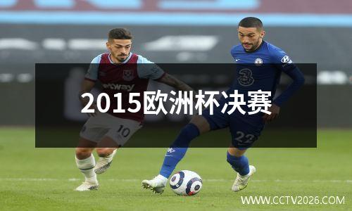 2015欧洲杯决赛