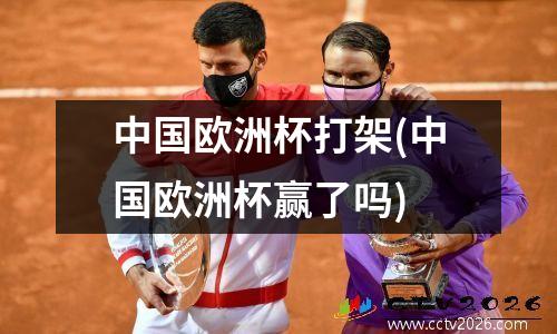 中国欧洲杯打架(中国欧洲杯赢了吗)