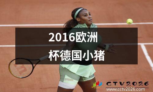 2016欧洲杯德国小猪