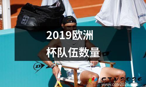 2019欧洲杯队伍数量