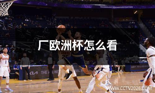 厂欧洲杯怎么看