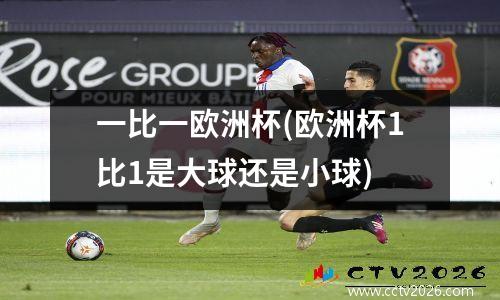一比一欧洲杯(欧洲杯1比1是大球还是小球)