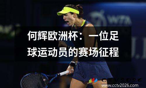 何辉欧洲杯：一位足球运动员的赛场征程