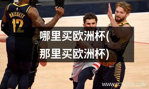 哪里买欧洲杯(那里买欧洲杯)