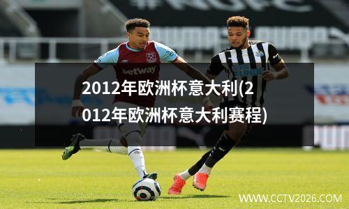 2012年欧洲杯意大利(2012年欧洲杯意大利赛程)