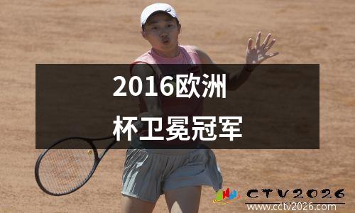 2016欧洲杯卫冕冠军