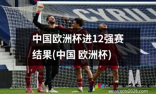 中国欧洲杯进12强赛结果(中国 欧洲杯)