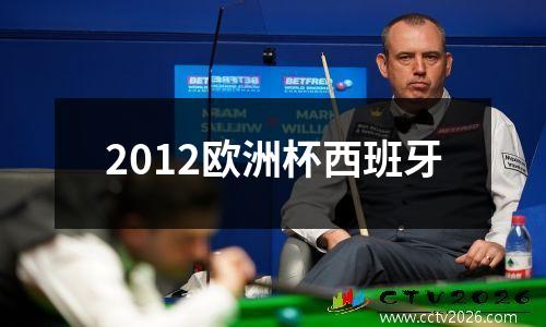 2012欧洲杯西班牙