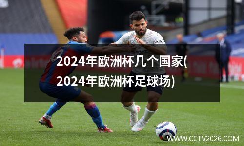 2024年欧洲杯几个国家(2024年欧洲杯足球场)