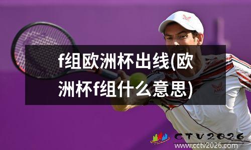 f组欧洲杯出线(欧洲杯f组什么意思)