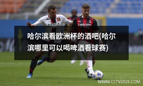 哈尔滨看欧洲杯的酒吧(哈尔滨哪里可以喝啤酒看球赛)