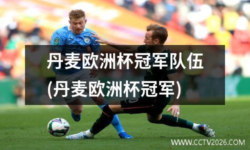 丹麦欧洲杯冠军队伍(丹麦欧洲杯冠军)